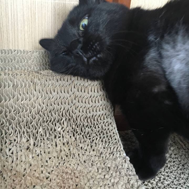 Ee5c7d68 3601 4c52 811d b09866c2a0fa