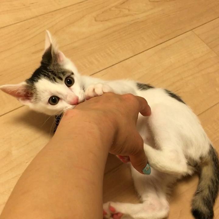 Ee5cfc24 1729 4e66 b0cf 75998e80edc1