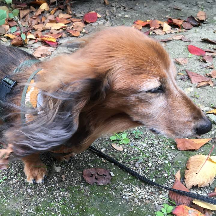 Ee5e049d 1440 43c7 94c9 7c816b73f0c3