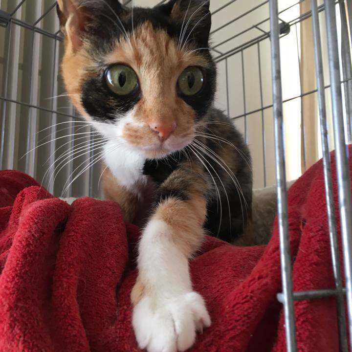 Ee5e82d9 be42 4714 ba82 3e319ccc17dd