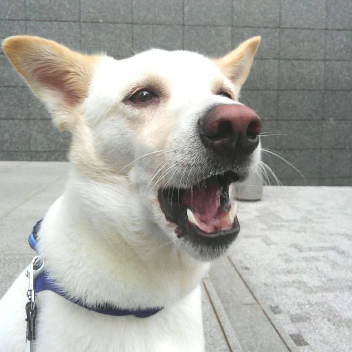 Ee5e8cb5 db5e 4d37 bacc 4394c6ba60f8