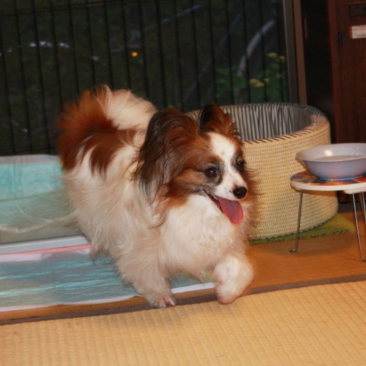 Ee5f071b c55c 4aed ac20 08fbfb11ea71