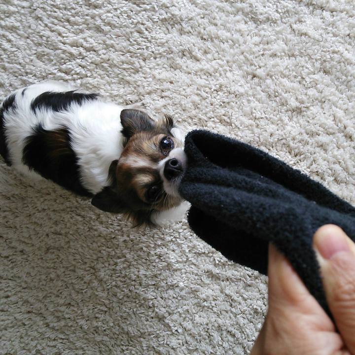 Ee5f61df c97c 4d58 9039 e89a0260b409