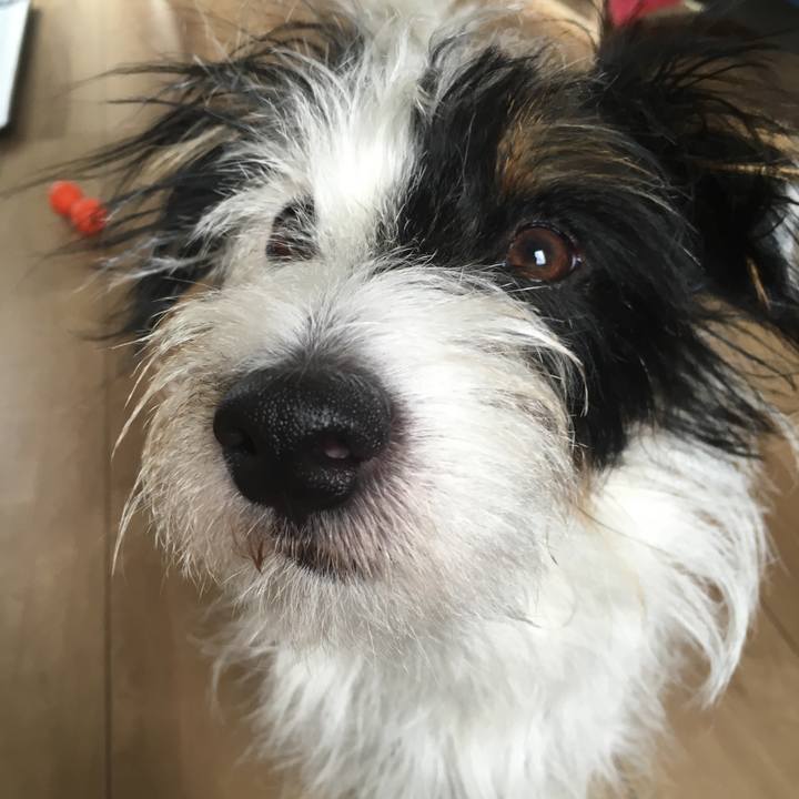 Ee60338a 6d58 4665 aac5 cab9bc66bdaf