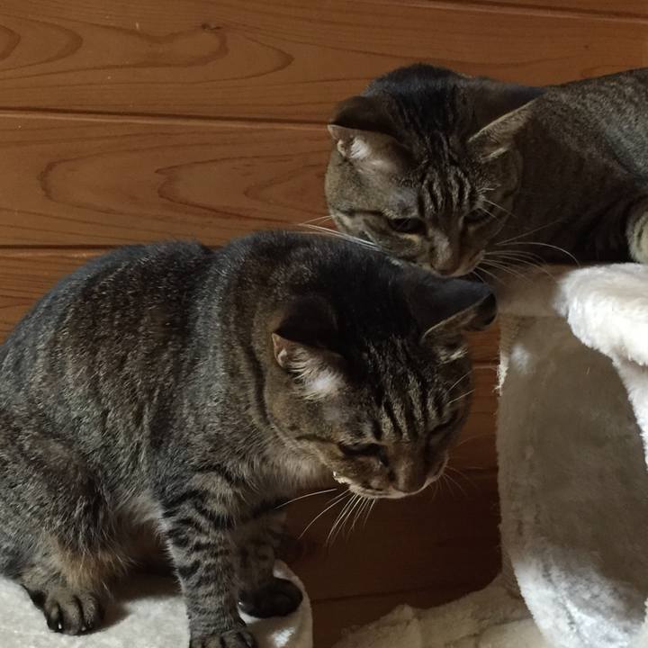 Ee619c34 d400 419b 8e14 a404d8dee89f