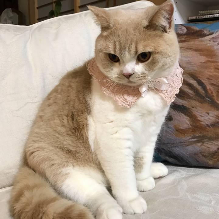 Ee626069 777d 4b92 8cc7 08780b59f243