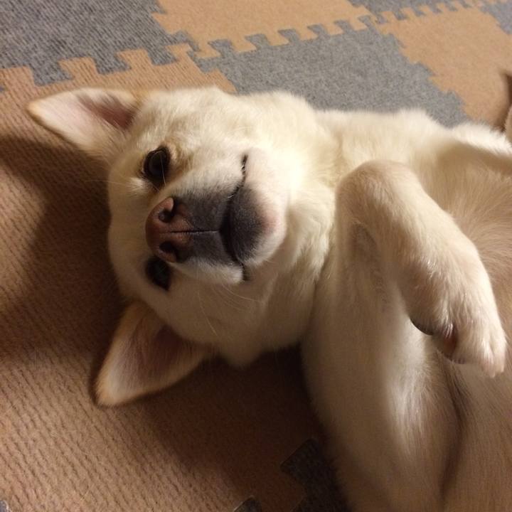 Ee632b63 cc0a 44dc b3eb d6ca1f839f56