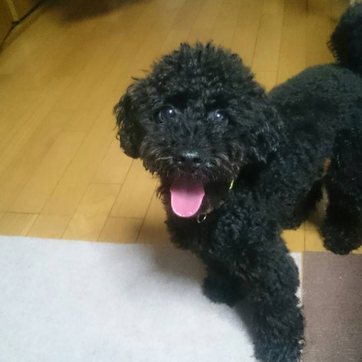 Ee635432 12c5 4f25 ba1a 7c1d8ae8e566