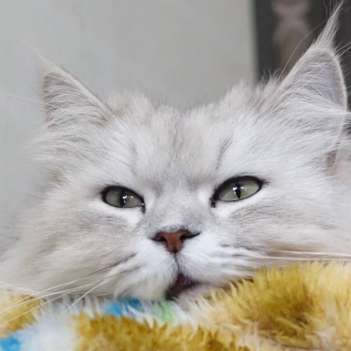 Ee635ddd 6342 47ea 90e5 8d01a036231a