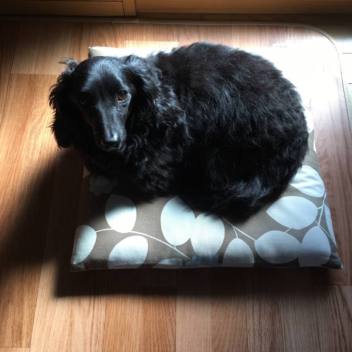 Ee6392a2 689f 48d6 991c 88c0974b143d