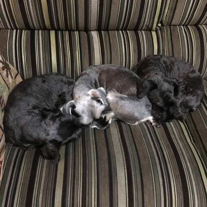 Ee63a492 e3cb 411c b517 cb31faa1cdbe