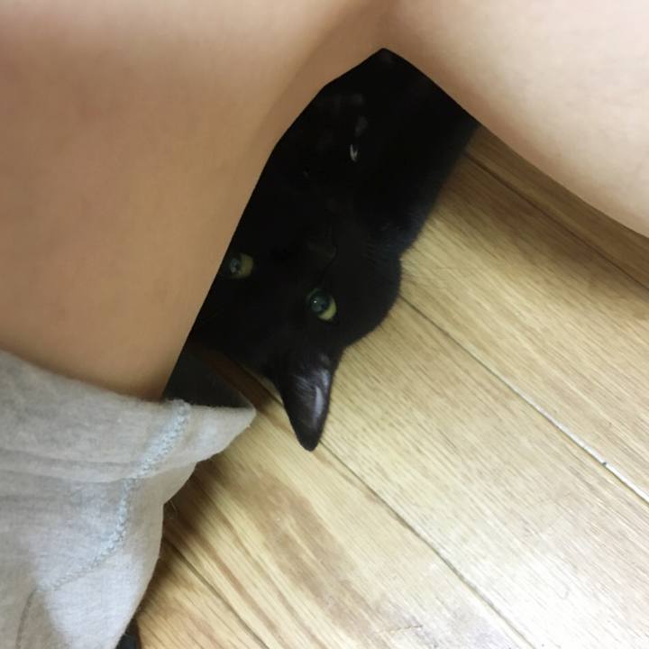 Ee63e81c 2f87 4ff4 bdc4 3ddf863a4c3f