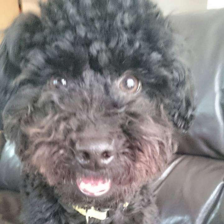 Ee64999a a38c 4cae a311 ae2984296180