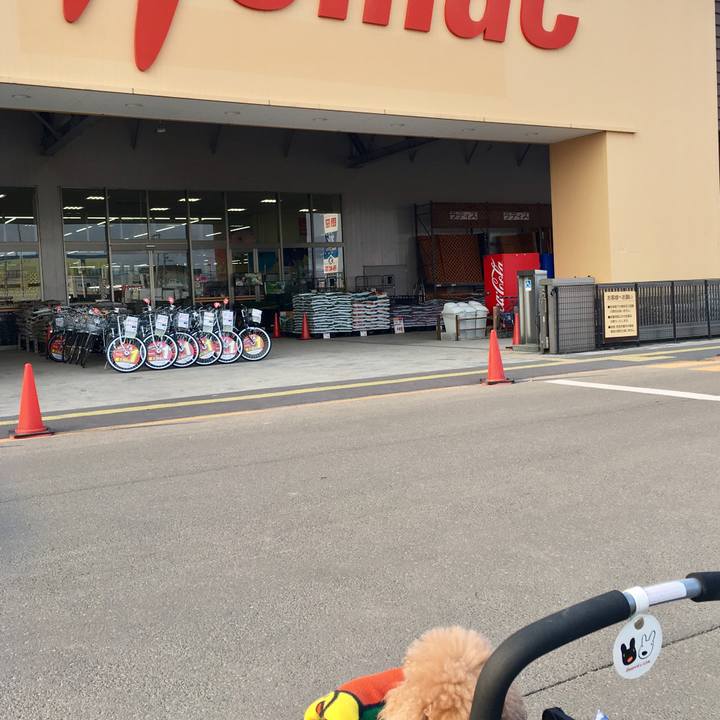 Ee64c7fa 5f4a 4696 8d29 5c5b80efc1ae