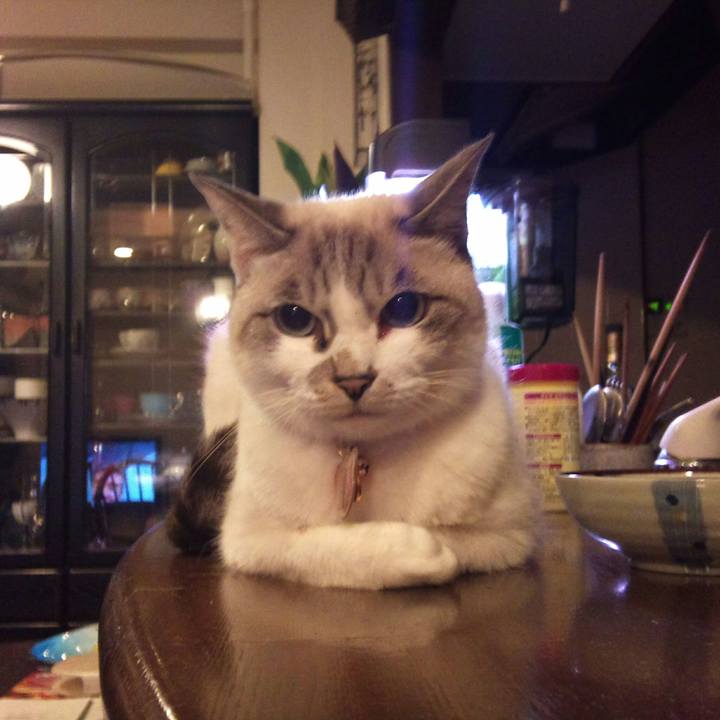 Ee663171 e478 4061 b7f3 e7a0b36f41d4