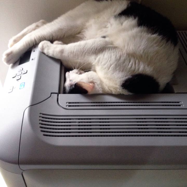 Ee6665df 6d15 4d25 8cec 5358223d82a1