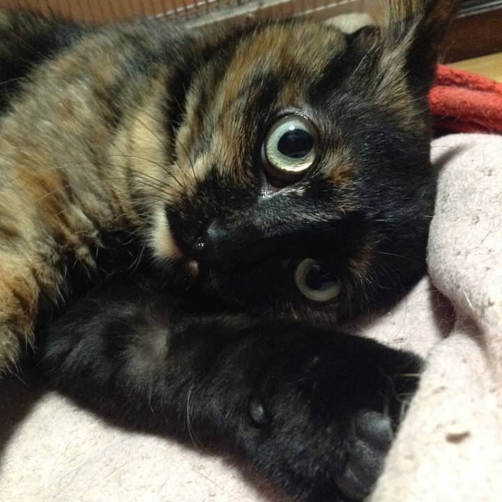 Ee6698a2 2c38 46cf 973e 335b47db7056