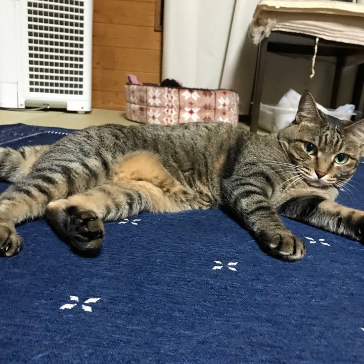 Ee676ac6 6dbf 4d0b 96df 07b65eb1d84e