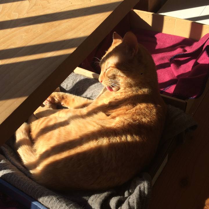 Ee67a39f 38a3 473e 8849 18a164795c15