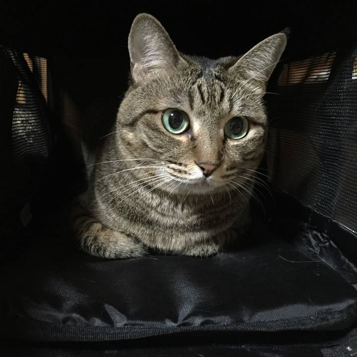 Ee682e5c 5e56 4592 af8a 906bcf33f9d1