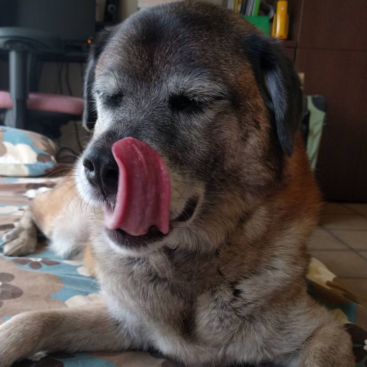 Ee6847b6 a086 49a6 8153 3b01d003ffa9