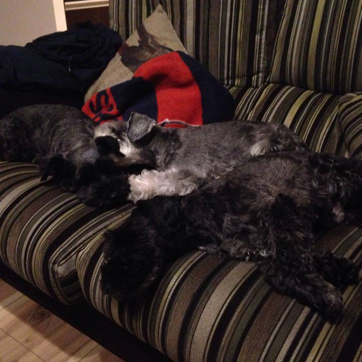 Ee686022 efe5 4e10 b118 de54f589848a