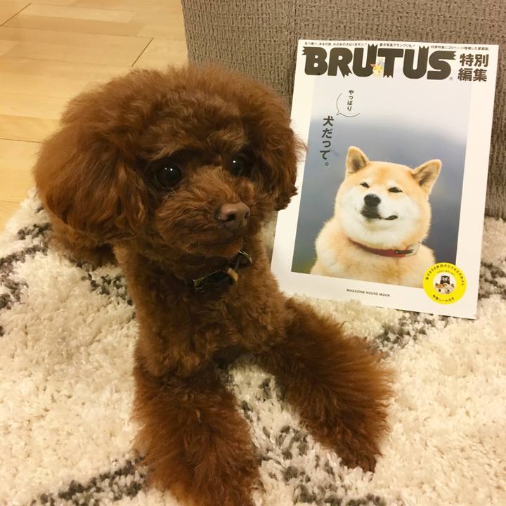 Ee69487f b875 4299 a1cf 420939ec88f8