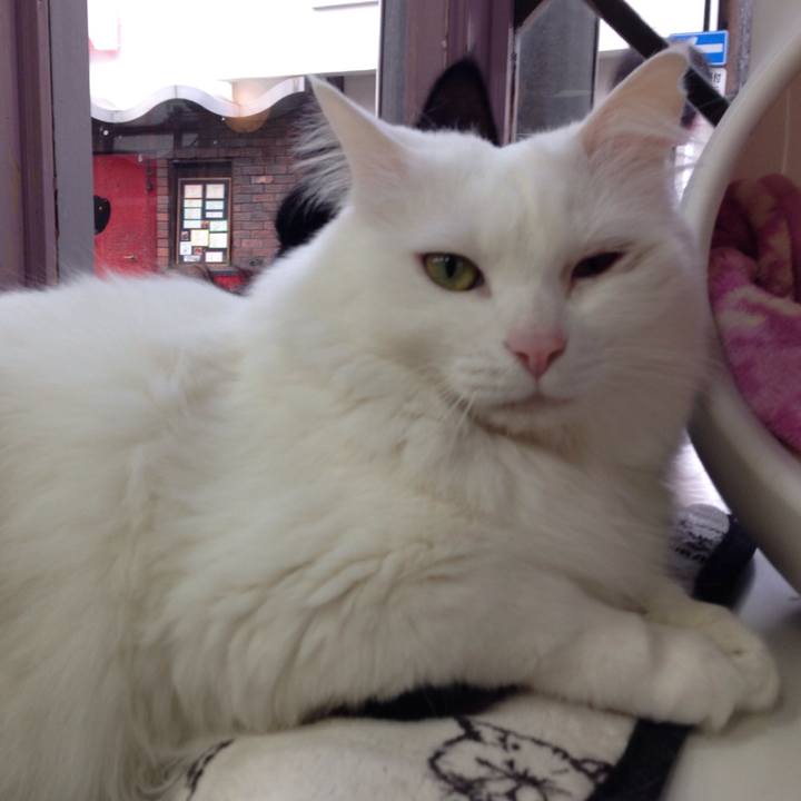 Ee694f14 c11f 48dd aa14 cf75dd32f3bc