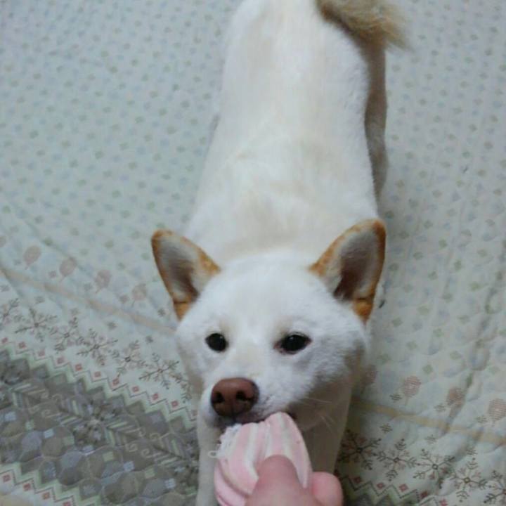 Ee69803e 9a60 40c3 a384 376756f28f1e