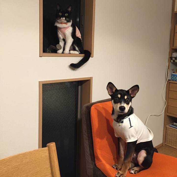 Ee698896 f1e4 4268 ae73 52c3e0cdd1df