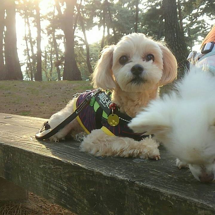 Ee6ac7c9 f650 4acf 9de5 e64ddaefa768