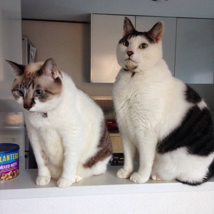 Ee6acc1e 1f81 42f0 aeb4 e55bdc03edd7