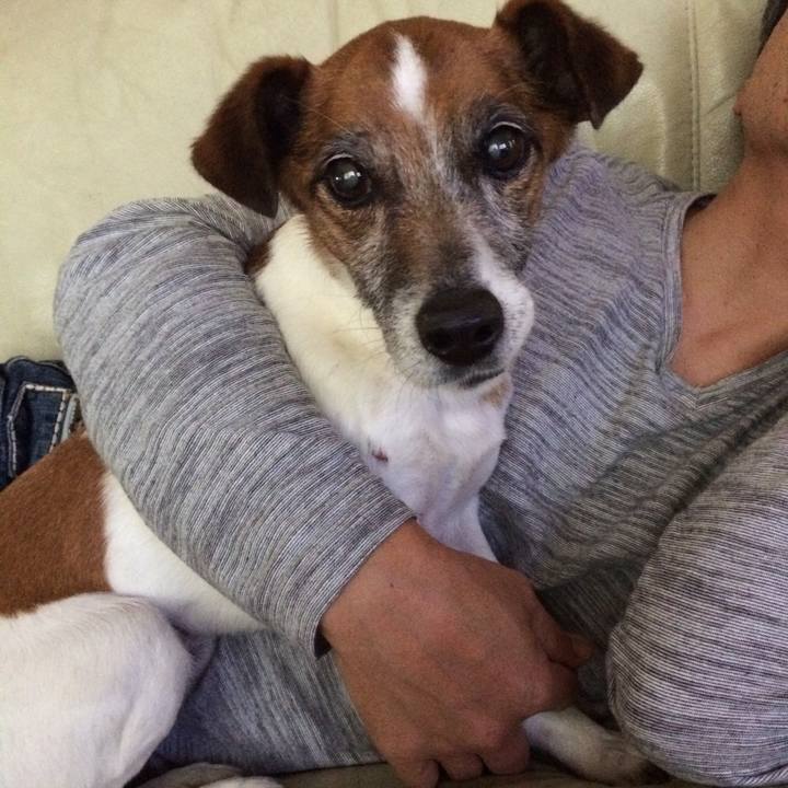 Ee6b25d3 566f 4260 bc2f 63f8184582af