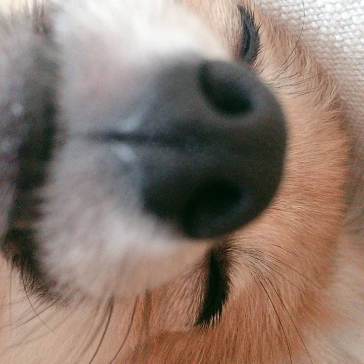 Ee6b5ab2 fda9 4e4e 8924 62e0c60b2600