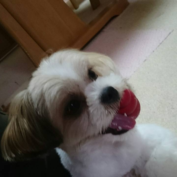 Ee6c683e e268 49a7 9eee 733ca4b7067c