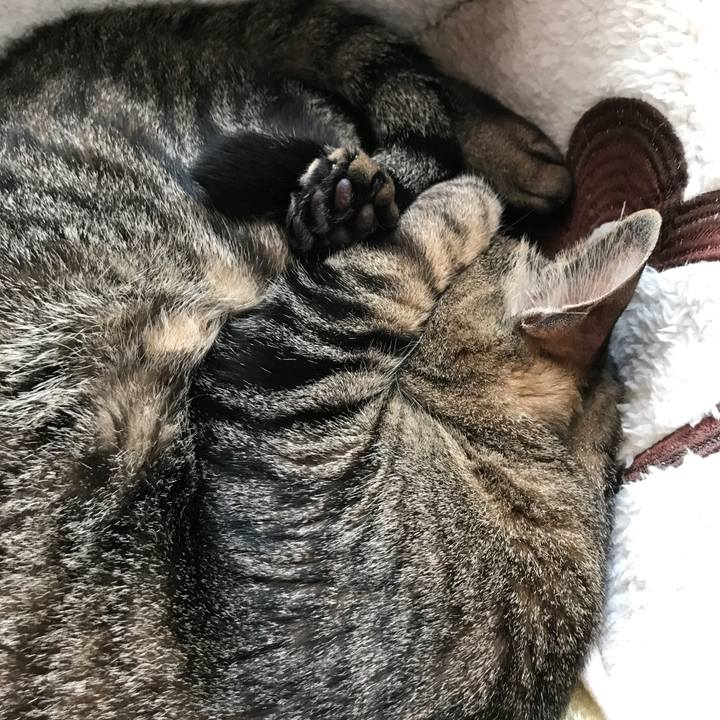 Ee6c8289 a79f 4c6e bea5 58aec970e4b9