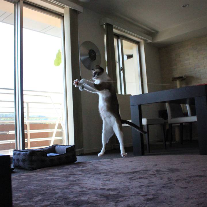 Ee6cf0a3 a58d 49aa 99c4 2cc9ed8aef51