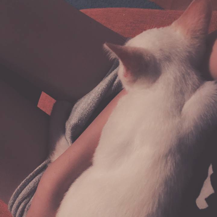 Ee6d5f82 c4ea 4847 9852 a9b61eed6761