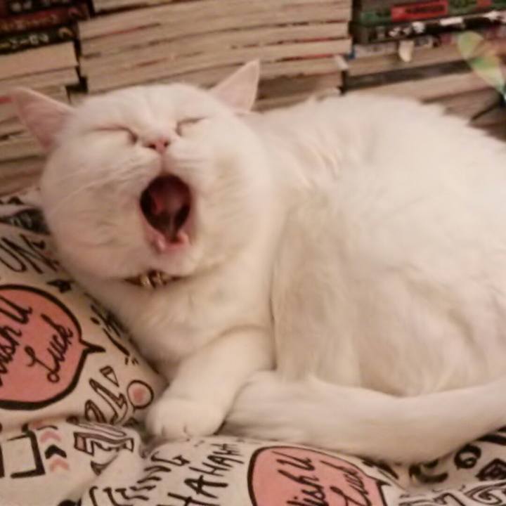 Ee6e2677 d59a 4ccd 8940 5fd8c440daa6