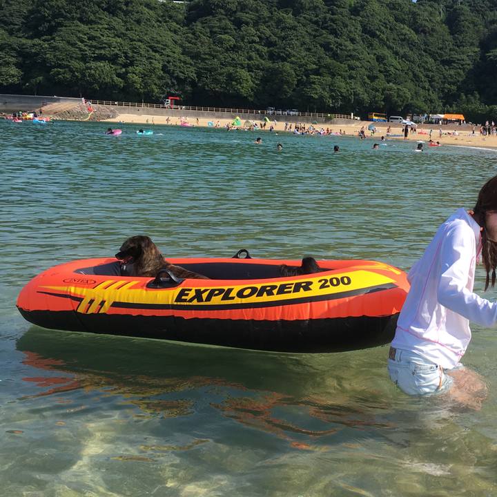 Ee6e4f27 efce 4ec4 aa71 88c46c47d497