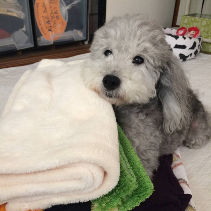 Ee6e6dbb ba20 4c42 af81 a634d50b6494