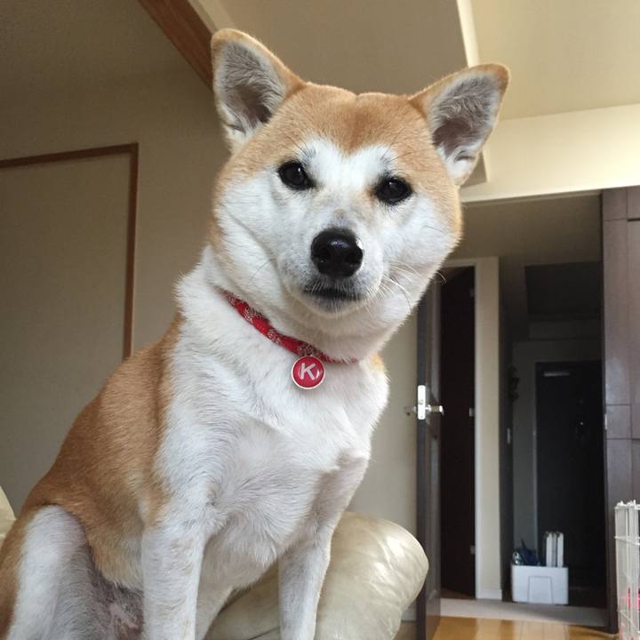 Ee6ea8ce 4766 493b 96dc 3d966fa01413