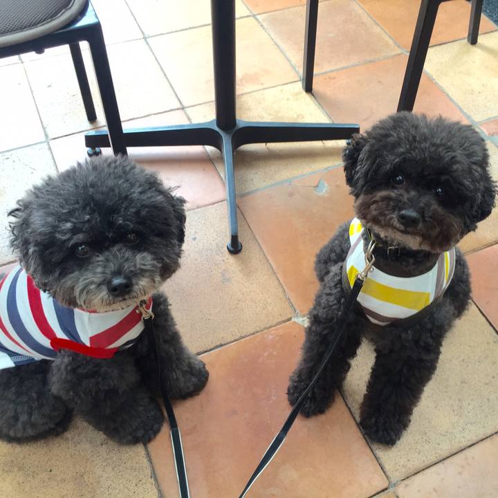 Ee6fc3f5 95b6 4534 a1a9 175d5e5853c3