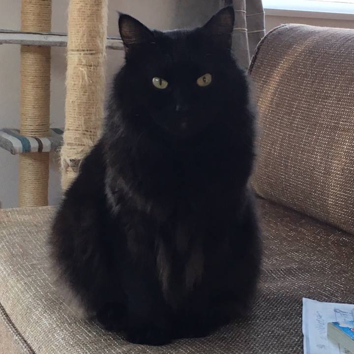 Ee70245a 0bac 4ee4 8cff 3c8ef1050ec2