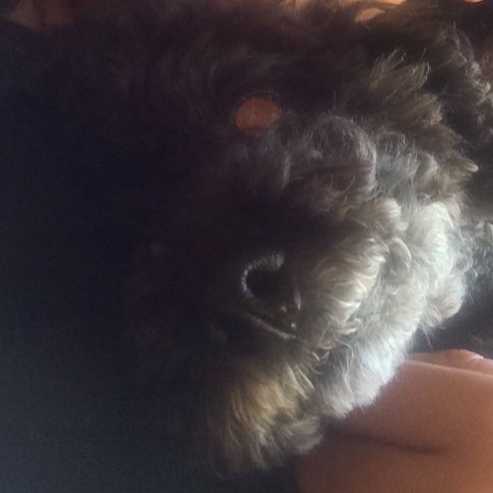 Ee70754e 8020 440c a2c1 efe0e6321e5c