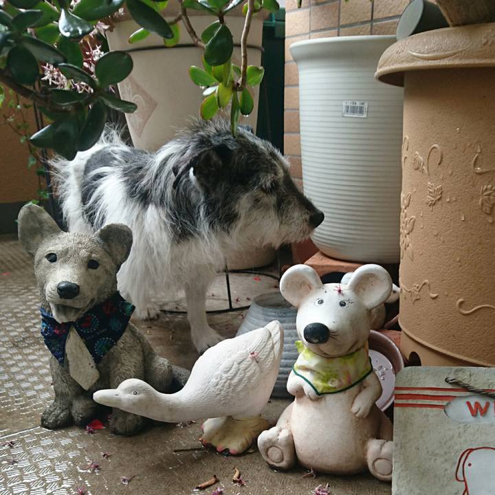 Ee708185 2d67 4749 8669 59cfe9e4cd84