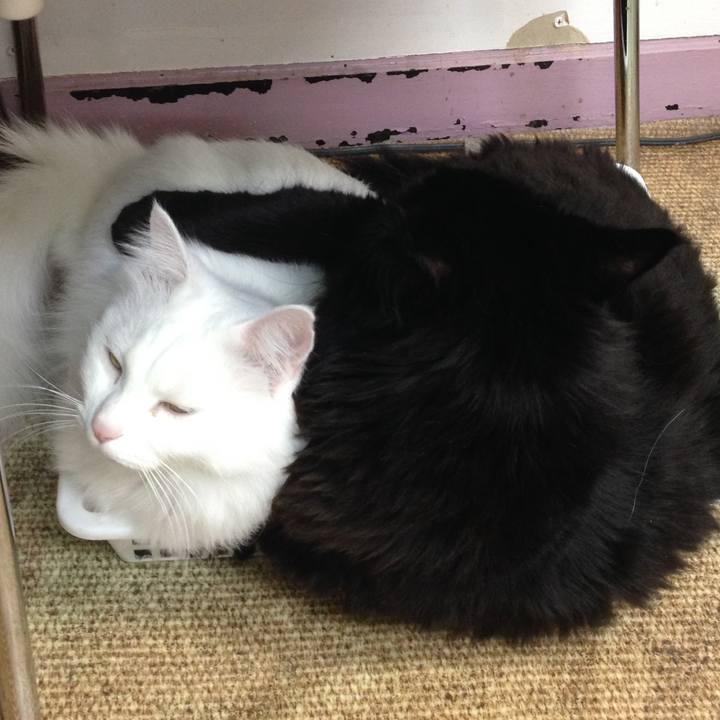 Ee709e16 aba6 4685 ae49 063cb03aecee