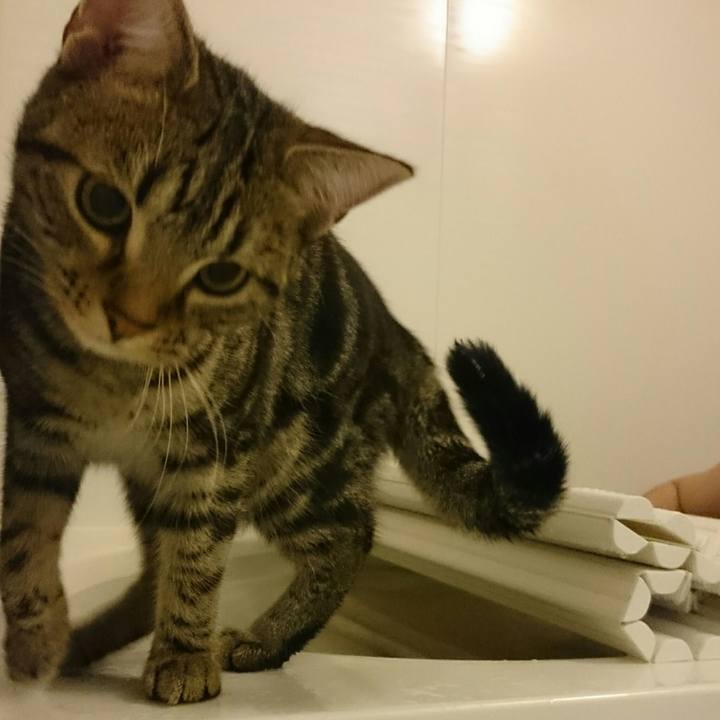 Ee70ea19 5ec7 43e2 bf8b 060eea547122