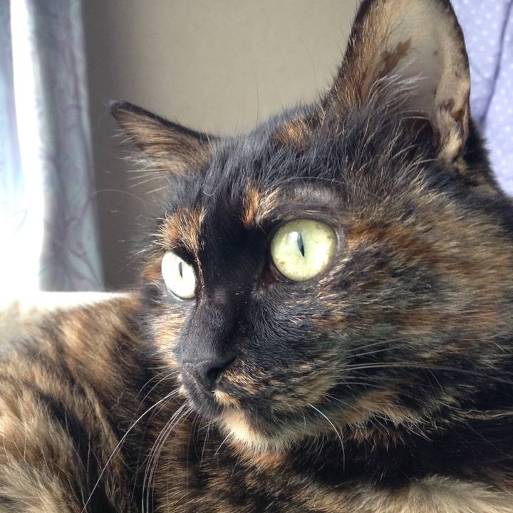 Ee7144bc 577e 4410 92ad ee1f1dd14da7