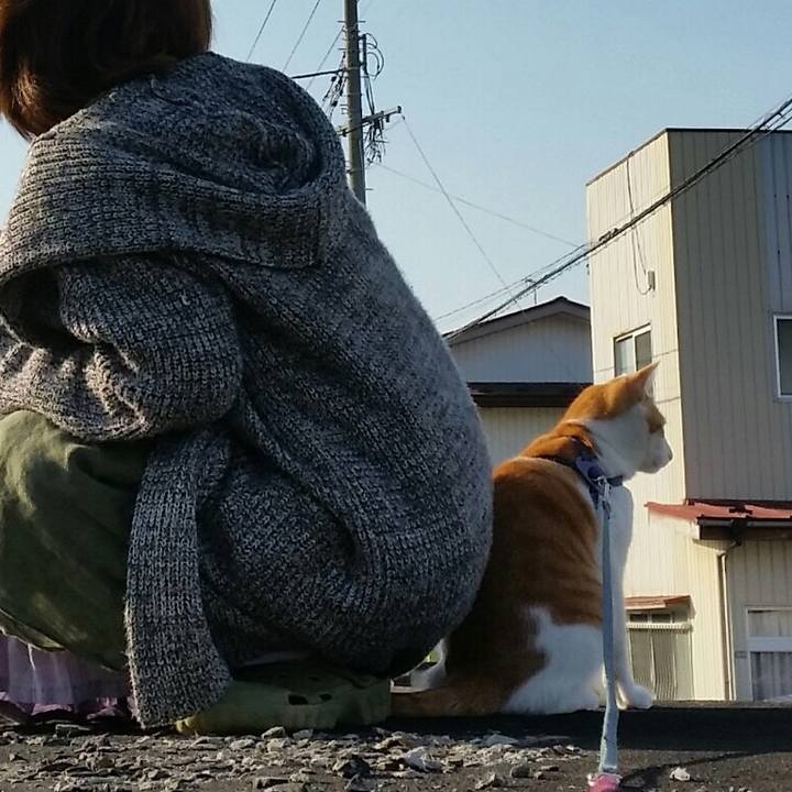 Ee7160c3 5561 439d 8dd2 4855589cb315